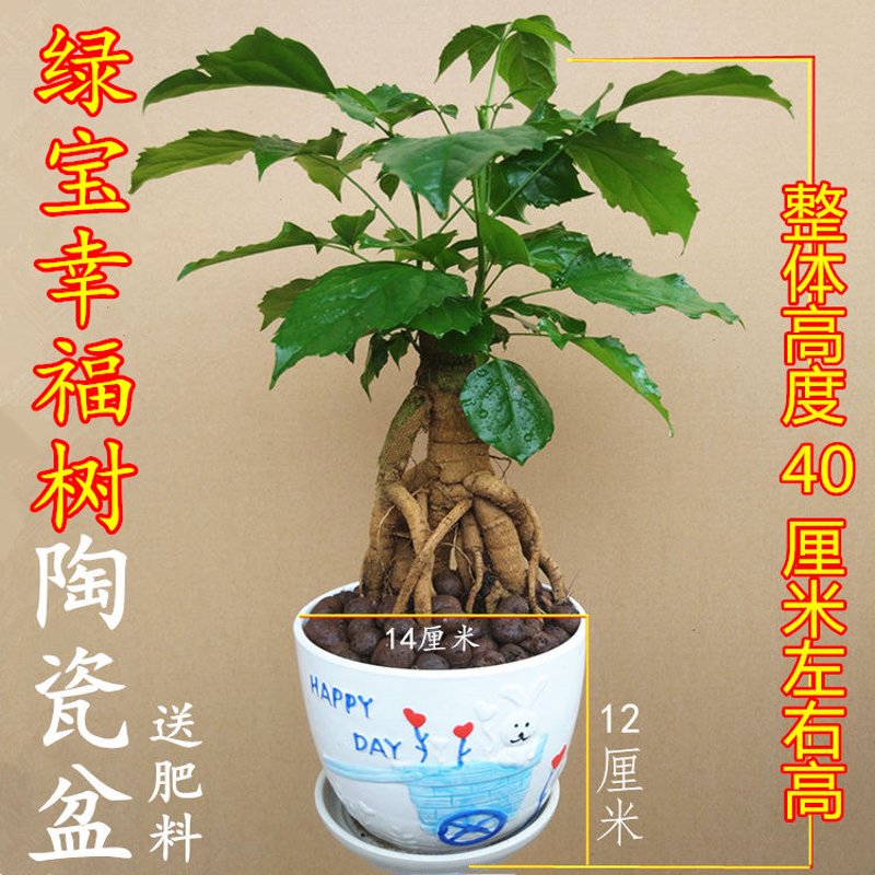 厨房设备定制:创造你梦想中的烹饪空间